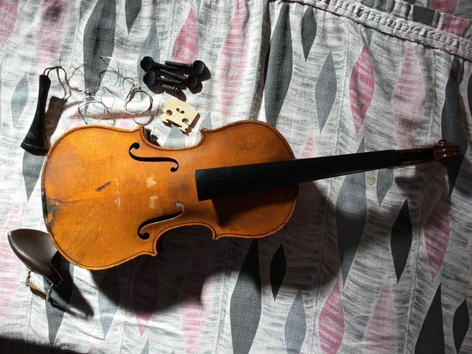 Violin