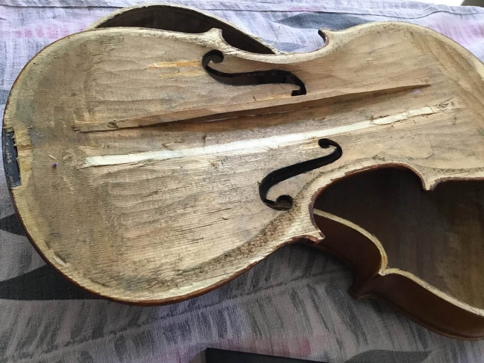 Violin