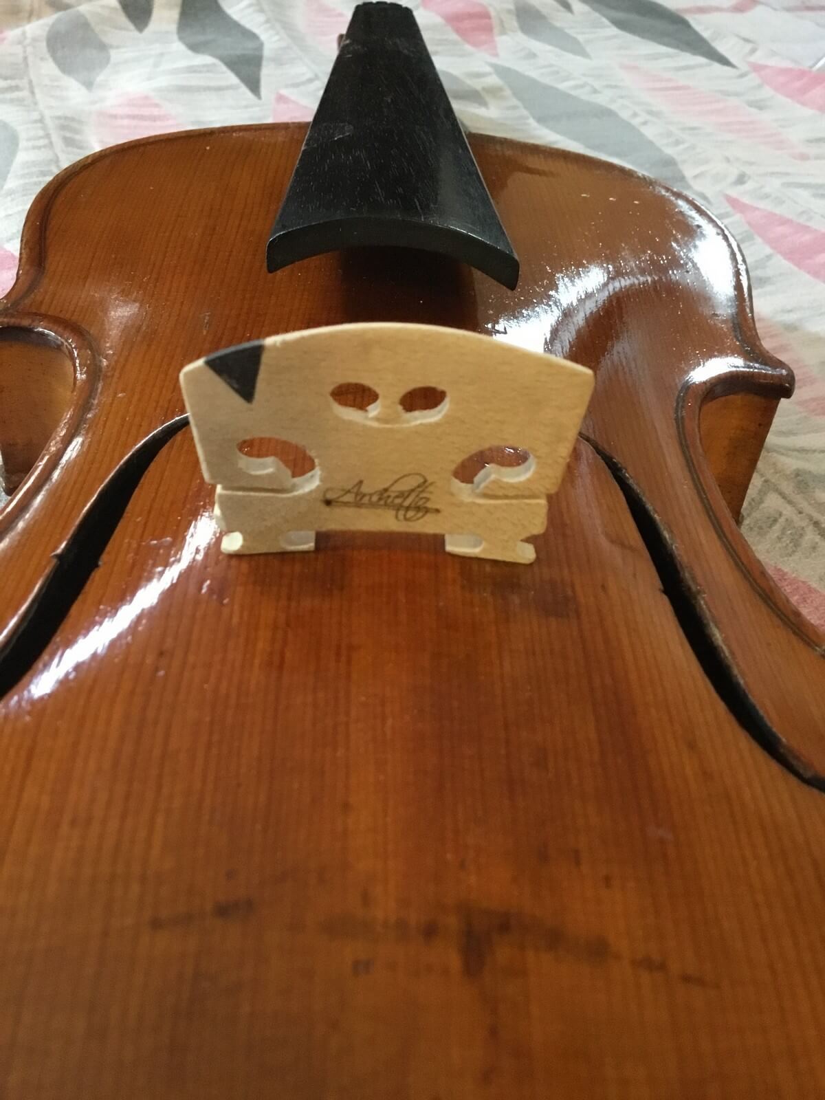 Violin